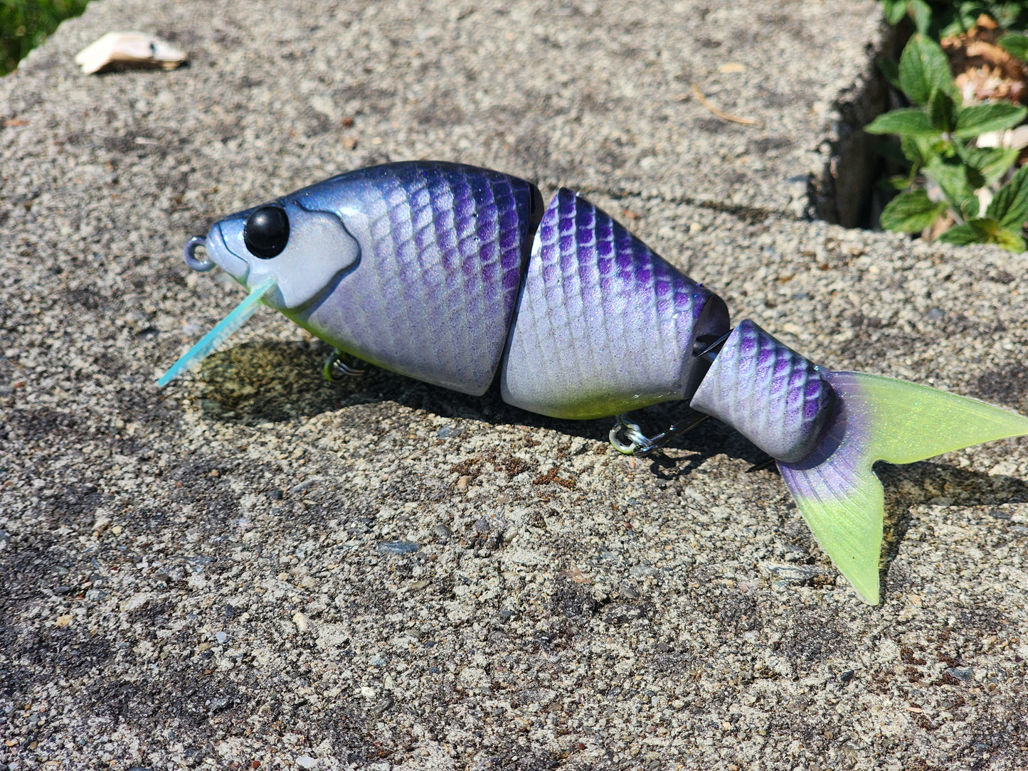Mini Shore Banger