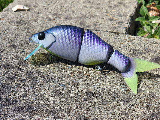 Mini Shore Banger